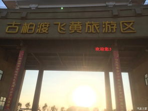 荥阳古柏渡：一个让你钱包哭泣灵魂颤抖的魔幻之地