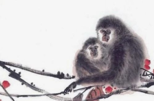 2026年属猴人的桃花运和正缘运势具体表现是怎样的？