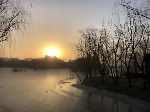 女八字中，年柱和月柱都带寡宿，月柱寡宿具体含义是什么？