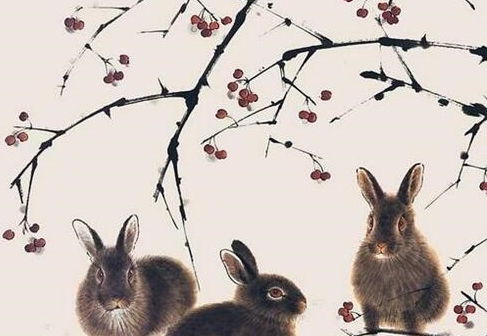 属兔遇兔年桃花运最旺的生肖是谁？兔年说兔是什么意思？
