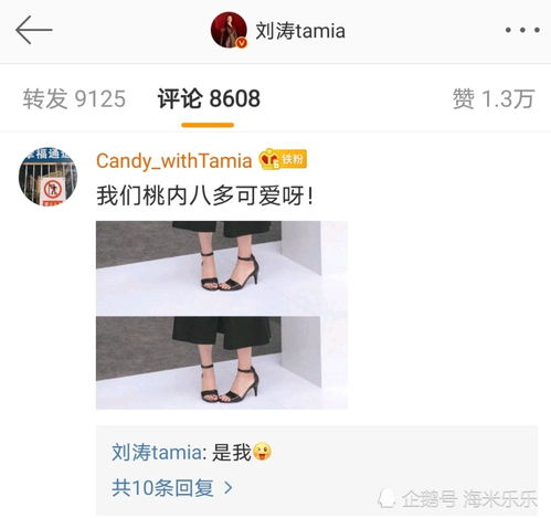 四、 社交媒体平台上的自嘲与偶像文化底蕴再生产