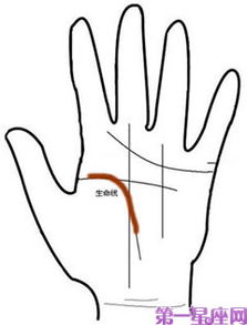 手相图解中川字掌手相是如何呈现的？
