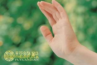 三、 手相指标与私房钱储蓄潜能之对应关系