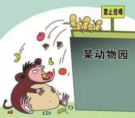 二、  生物维度的滋养：从心灵净化到身体健康状况较长寿的量化积累