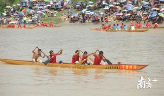 百舸竞渡是哪个生肖？百舸竞渡打一最佳动物是什么生肖的动物？