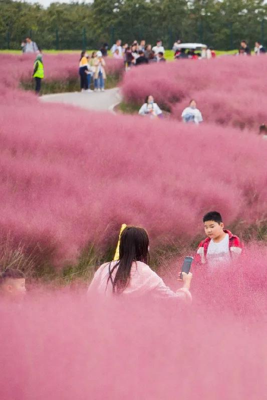 “月落乌啼”：诗意寻觅与浪漫传说的文化溯源