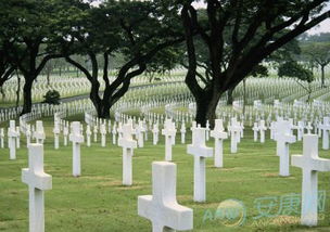 女人梦见新买的房子旁边是墓地，这预示着什么？