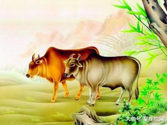 2026年属龙的本命年应该佩戴什么吉祥物以招好运？