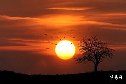 一、 先别急着翻《周易》，先喝口茶再说