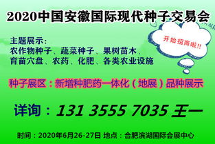 传统文化与现代价值观之交叉反思