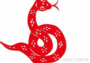 一、 探究背景与目的