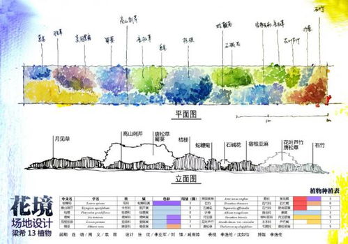 方位选择：顺应自然规律