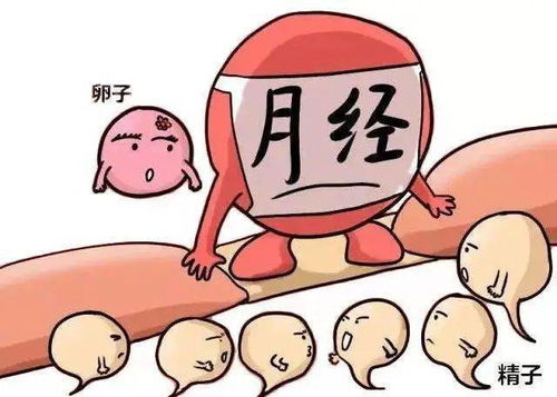 1. 记录你的经期日记