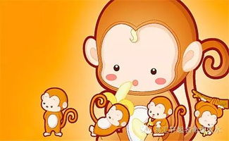 属猴人2025年和2026年运势具体如何？