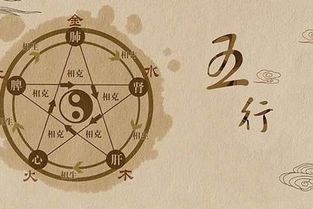 周简单起名的那一些步骤