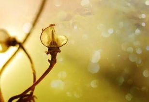 星座运势大杂烩：12月你要知道的那些破事儿