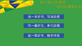 专业指导的重要性