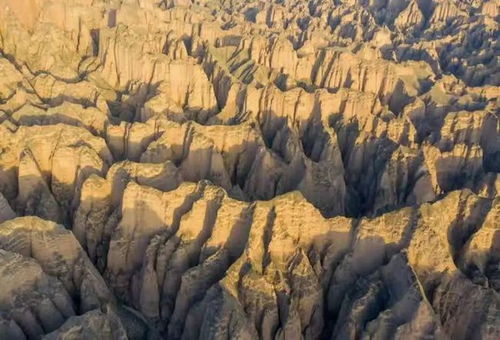 一、  地理环境决定论的机械套用与客观风险混淆