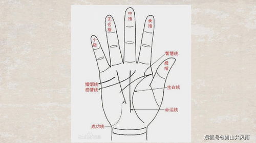 左右手之辨别及其哲学含义