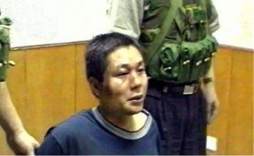 辉煌与陨落：权力巅峰下的警示