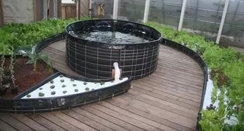 3. 经济效益：多重产出与成本优化