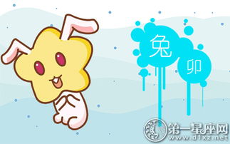 整体运势评估（2019年）