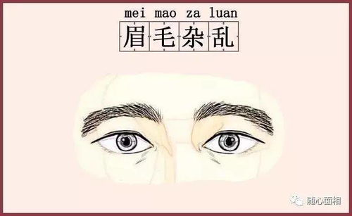 2025年7月7日吉日 面相圆润眼神清澈之人，桃花盛开时运势深度分析
