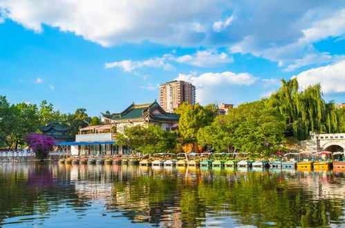 第一站：昆明——除了花多就是人多