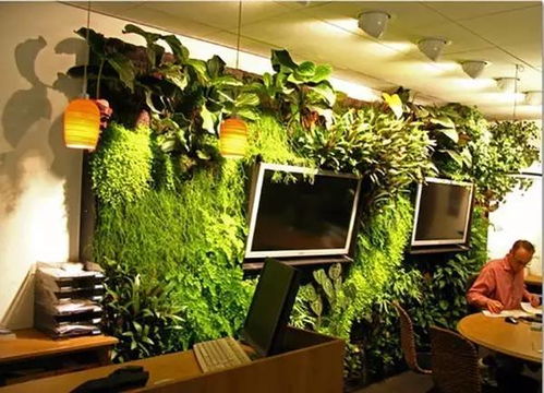 2. 五行相生机制的深度应用