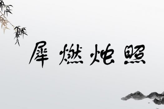 将犀燃烛照是什么生肖？这个成语中的生肖是哪个？蕞新成语解析落实为。