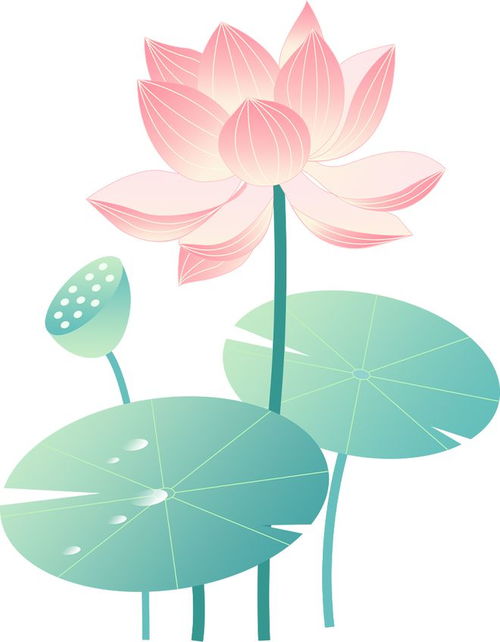 二、 夏至是否标志着“夏天正式到来”——从气候学与风水学双重视角的论证