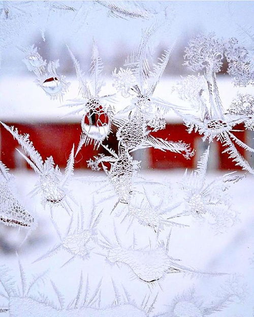 美好寓意之外：潜在的不便之处及应对策略