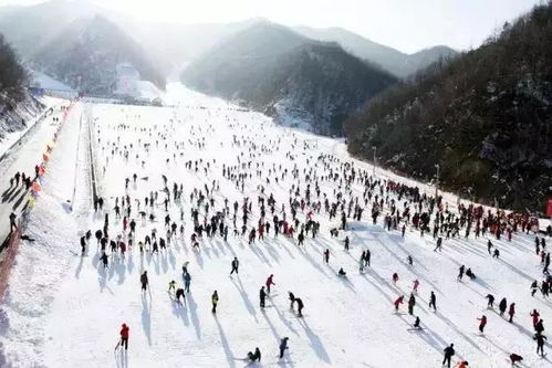 【省钱鬼才】2026年最新坑钱套餐大曝光