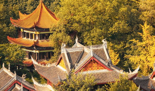 核心场域一：文殊院——青羊区“震旦第一丛林”之都市核心气场节点