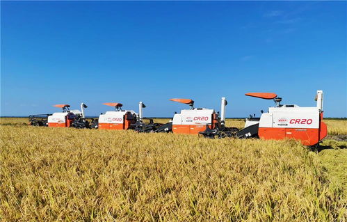 全球粮食系统的生态影响及转型需求