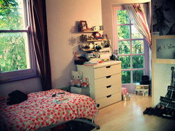 三、 个人偏好与风水调适之间的动态平衡