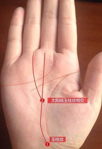 女人八字纹命运好吗？掌心M字纹预示着怎样的命运转折？