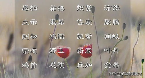 2. 文雅较大气型