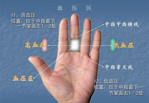 掌厚薄度对性格倾向的阐释