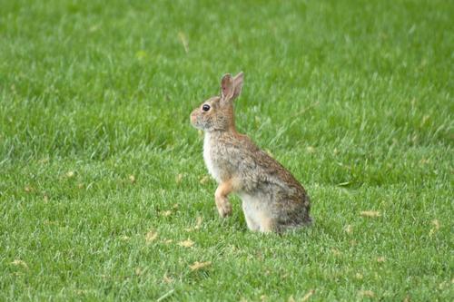 智慧、 洞察力及认知方式