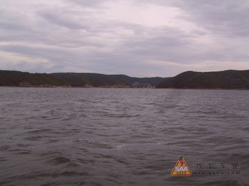 过路费钱包大出血