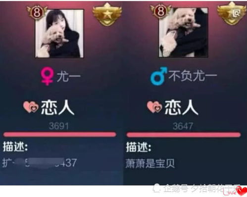 2. 谐音双关机制：语音能量的重塑