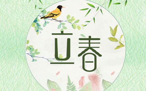 生肖划分是以立春为界吗？这个界限是如何确定和应用的？