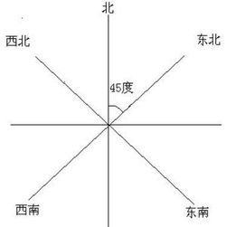 4. 爬藤植物禁忌：天然元素选择中的文化底蕴内涵考量