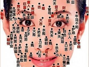 四、 具体案例分析