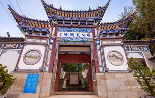 先来点乱七八糟的背景介绍——顺便扔进几个无关信息