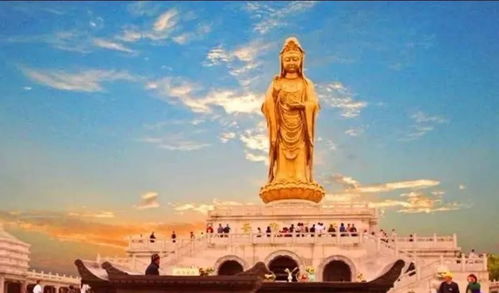 舟山人的“专属福利待遇”：惠民季政策解析