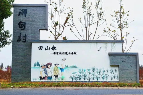 （一）校园活动案例分析