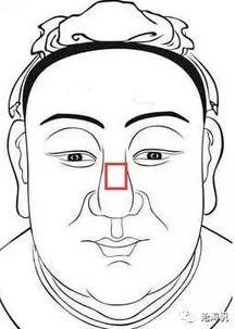 二、 先天体质的诊断指标——山根形态与痣斑分布