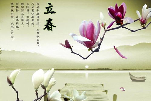 2026年立春犯太岁的生肖动物是什么，那一年立春属什么生肖有何含义？